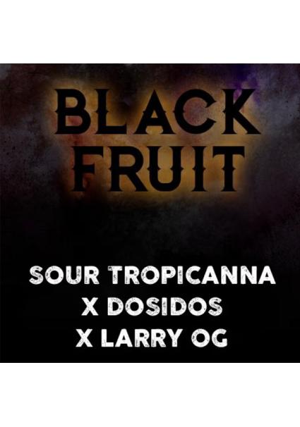 Black Fruit fem. Tramuntana...