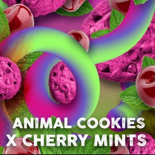 Cherry Cookies Mints fem. Tramuntana Seeds