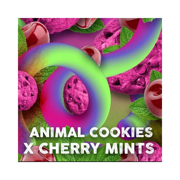Cherry Cookies Mints fem. Tramuntana Seeds