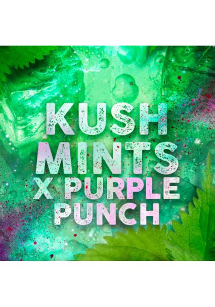 Kush Mints fem. Tramuntana...