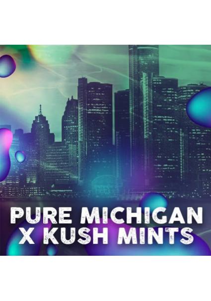 Michigan Mints  fem....