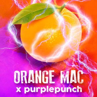 Orange MAC fem. Tramuntana Seeds