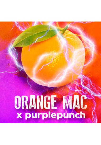 Orange MAC fem. Tramuntana...