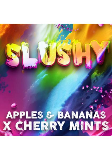 Slushy fem. Tramuntana Seeds