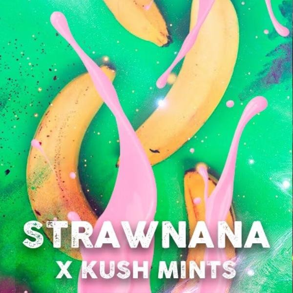 Strawnana Mints fem. Tramuntana Seeds