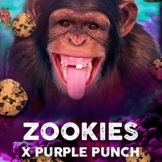 Zookies fem. Tramuntana Seeds