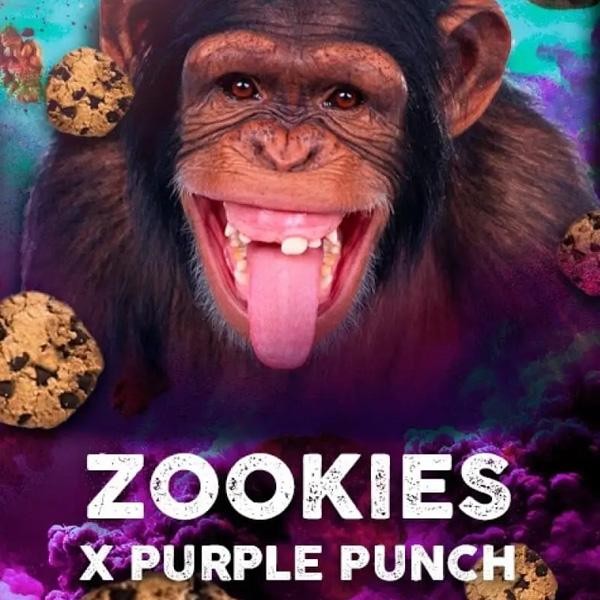 Zookies fem. Tramuntana Seeds