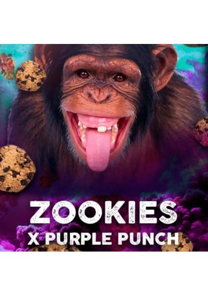 Zookies fem. Tramuntana Seeds