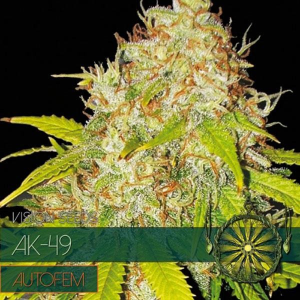 Auto AK 49 3+1 u. fem. Vision Seeds