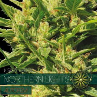 Auto Northern Lights 3+1 u. fem. Vision Seeds