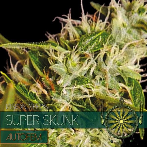 Auto Super Skunk 3+1 u. fem. Vision Seeds