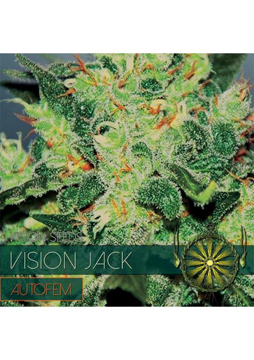 Auto Vision Jack 3+1 u. fem. Vision Seeds