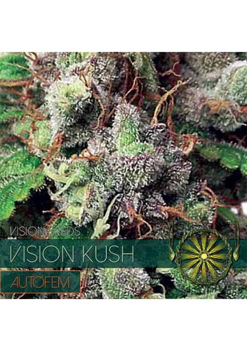 Auto Vision Kush 3 u. fem. Vision Seeds