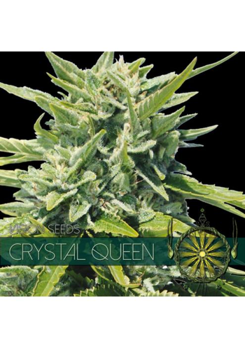 Crystal Queen 3+1 u. fem. Vision Seeds
