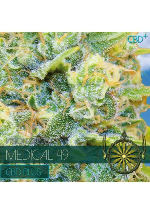 Medical 49 CBD+ 3+1 u. fem. Vision Seeds
