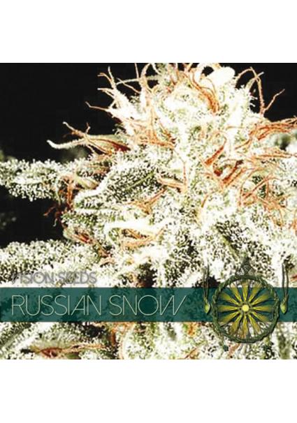 Russian Snow 3+1 u. fem....