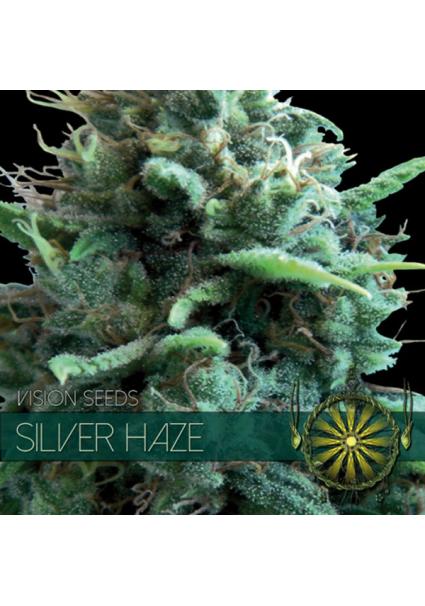 Silver Haze 3+1 u. fem....