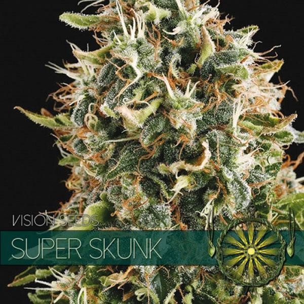 Super Skunk 3+1 u. fem. Vision Seeds