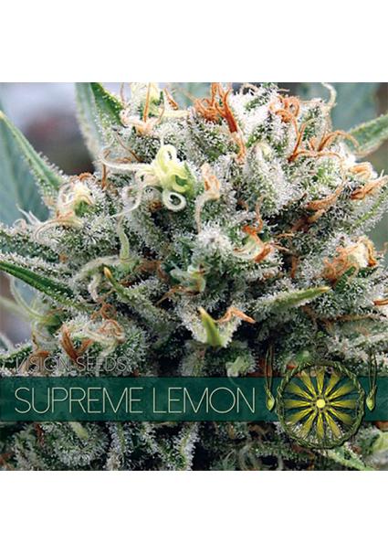 Supreme Lemon 3+1 u. fem....