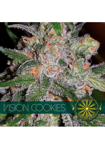 Vision Cookies 3 u. fem....
