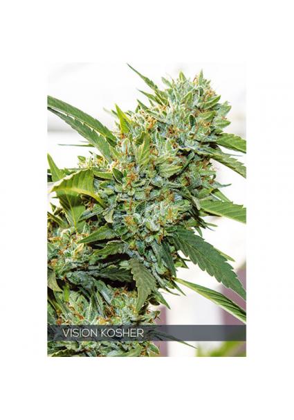 Vision Kosher 3+1 u. fem....