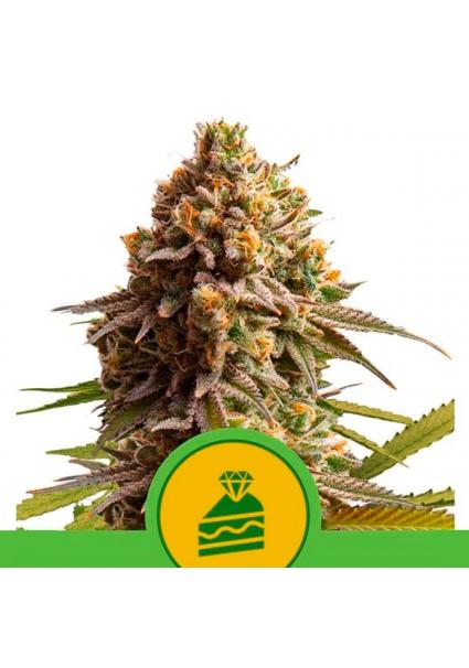 Auto Wedding cake fem....