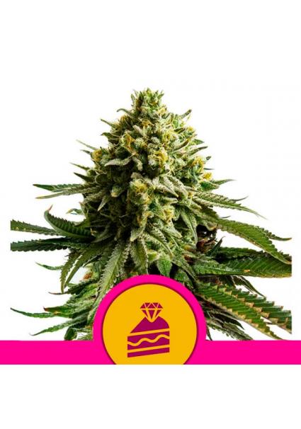 Wedding cake fem. Royal Queen