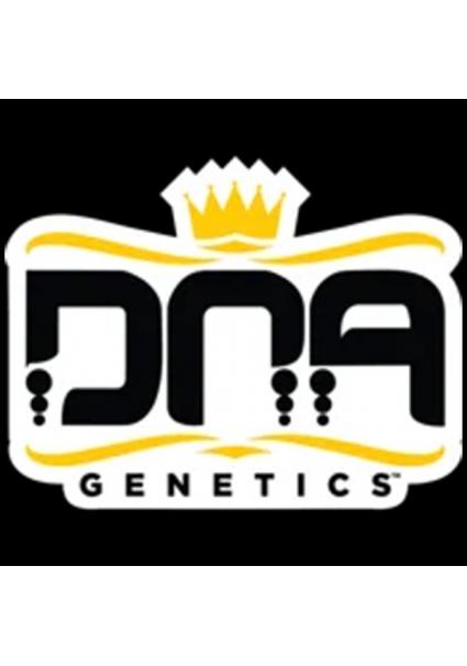 Lemon Skunk fem. DNA Genetics