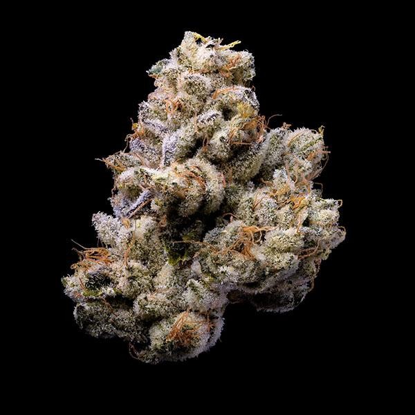Orange Cake fem. Cookies Seed Bank