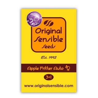 Auto Apple Fritter fem. Original Sensible