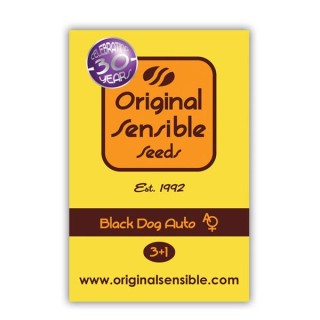 Auto Black Dog fem. Original Sensible