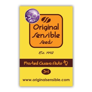 Auto Frosted Guava fem. Original Sensible