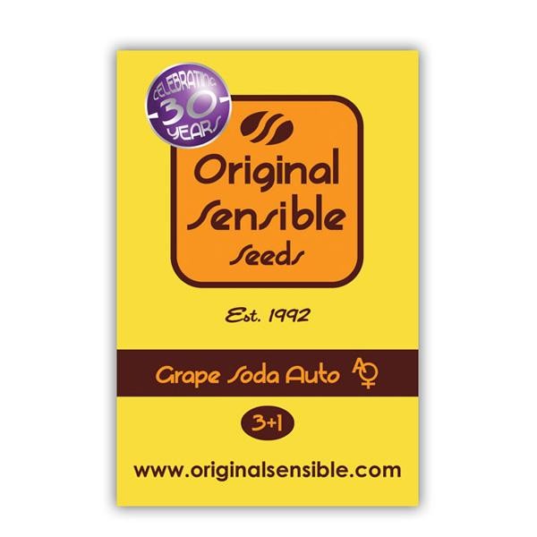 Auto Grape Soda fem. Original Sensible