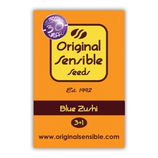Blue Zushi fem. Original Sensible
