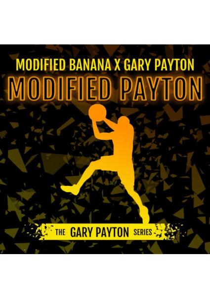 Modified Payton fem. Elev8...