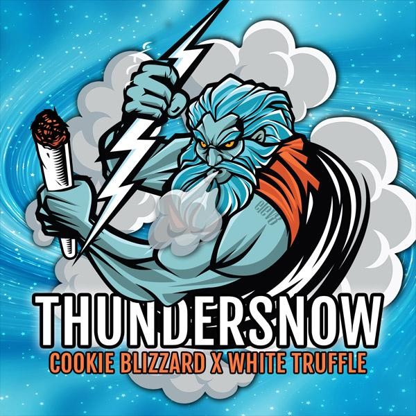 Thundersnow Elev8 Seeds