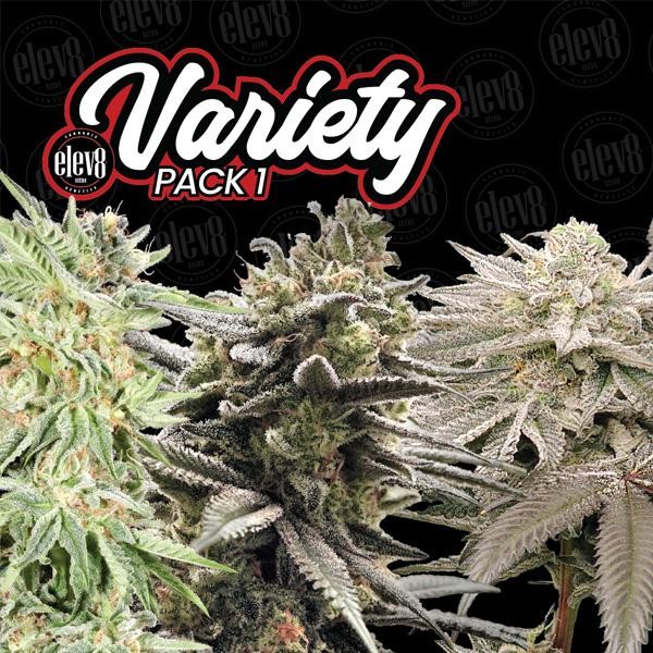 Variety Pack N1 - fem Elev8 Seeds
