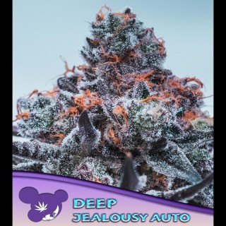 Auto Deep Jealousy fem. Anesia