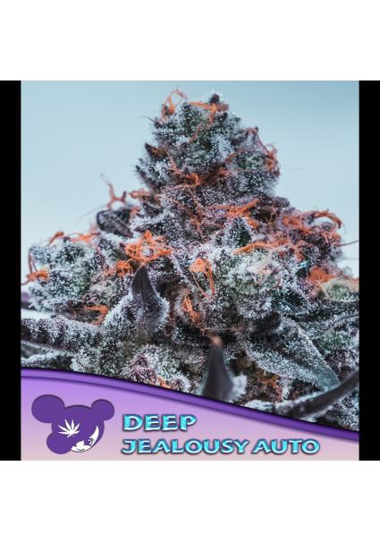 Auto Deep Jealousy fem. Anesia