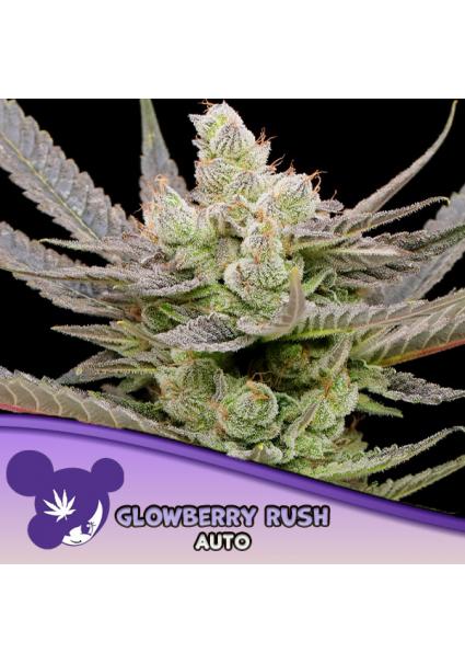Auto Glowberry Rush fem Anesia