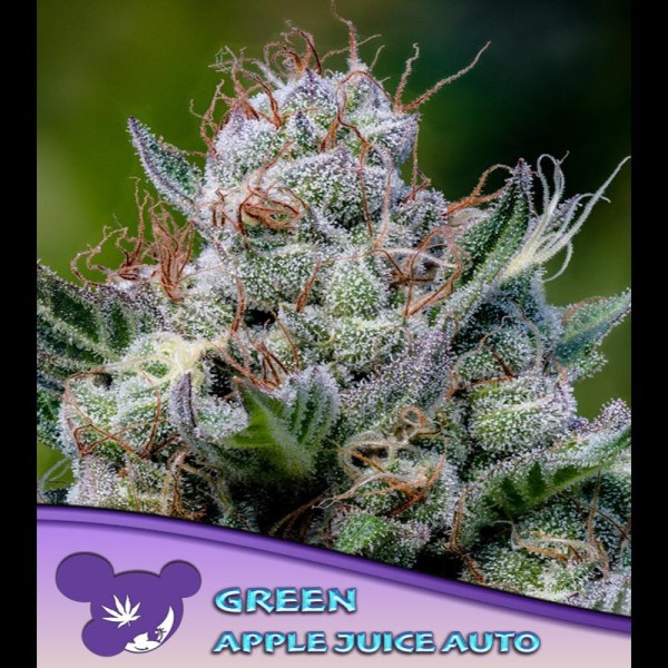 Auto Green Apple Juice fem. Anesia