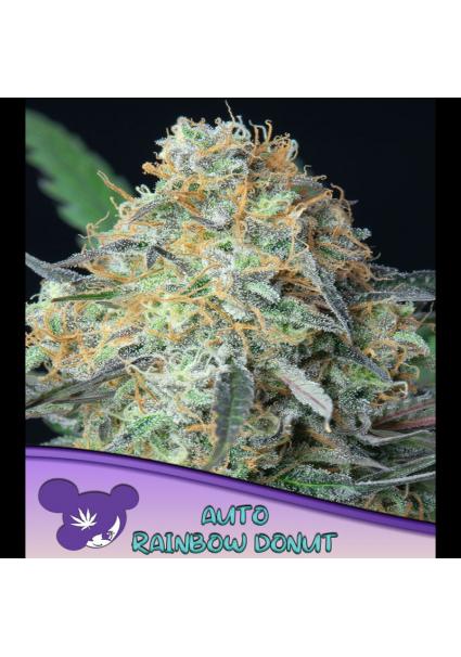 Auto Rainbow Donut fem Anesia