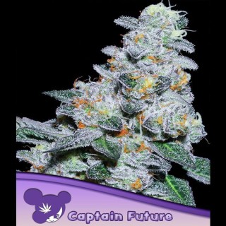 Captain Future fem. Anesia