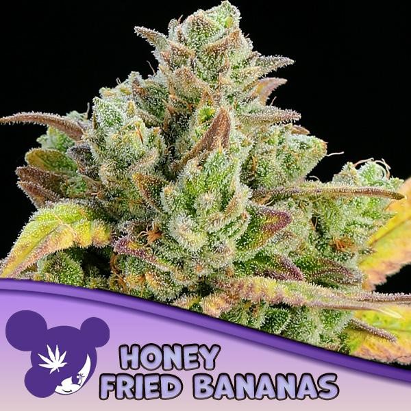 Honey Fried Bananas fem Anesia