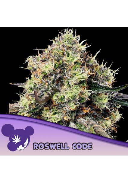 Roswell Code fem Anesia