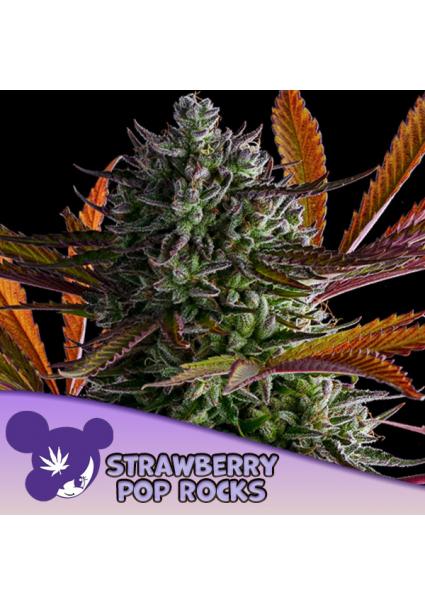 Strawberry Pop Rocks fem...