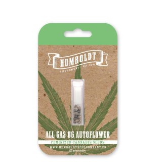 Auto All Gas OG fem Humboldt Seeds Company