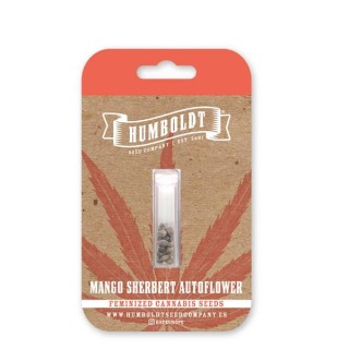 Auto Mango Sherbert fem Humboldt Seeds Company