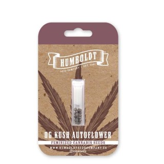 Auto OG Kush fem Humboldt Seeds Company