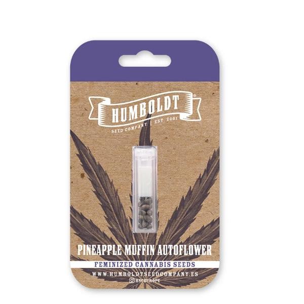 Auto Pineapple Muffin fem Humboldt Seeds Company
